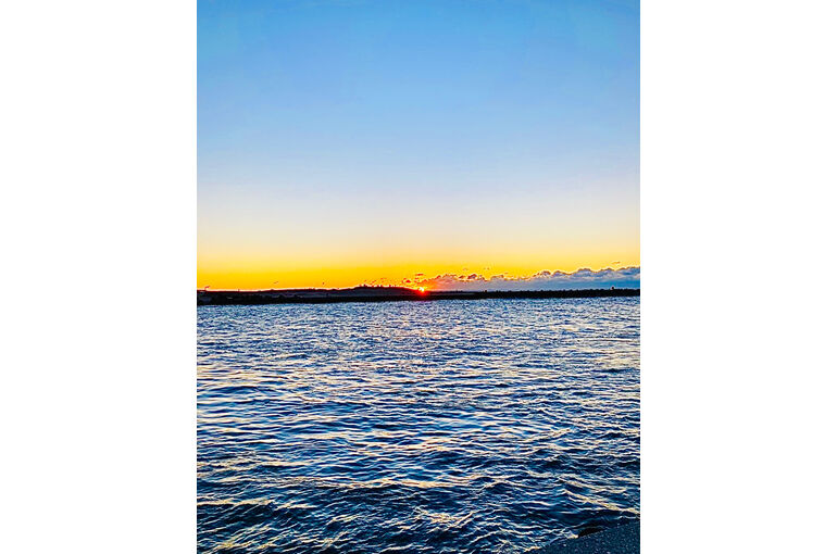 040F83CE-1407-4A88-8FAF-EC230E58AD86